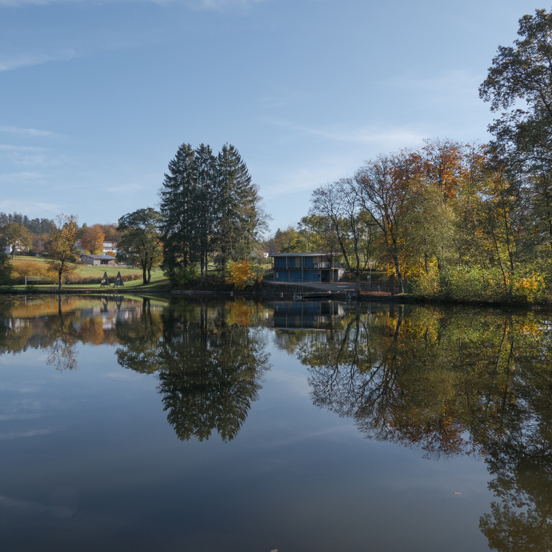 Ein ruhiger See spiegelt eine Herbstlandschaft mit Bäumen und einem Gebäude wider.