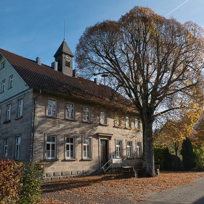 Ein zweistöckiges, historisches Gebäude mit zahlreichen Fenstern steht neben einem großen Baum, dessen Blätter die Herbstfarben tragen.