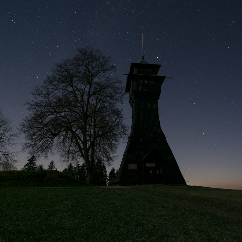 Ein hoher Holzturm steht nachts neben einem großen, kahlen Baum unter einem sternenklaren Himmel.