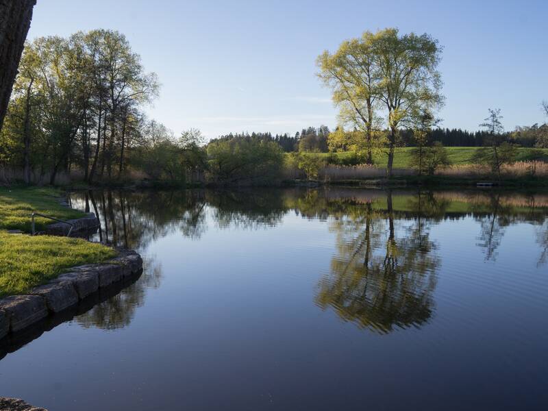 Ein ruhiger See spiegelt Bäume und Vegetation wider, umgeben von grünen Wiesen und einem klaren blauen Himmel.