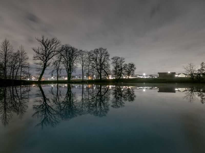 Eine ruhige Seenlandschaft mit kahlen Bäumen am Ufer spiegelt sich im Wasser bei bewölktem Himmel wider.
