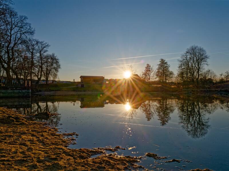 Ein Sonnenuntergang spiegelt sich im ruhigen Wasser eines Sees, umrahmt von kahlen Bäumen und einem sandigen Ufer.