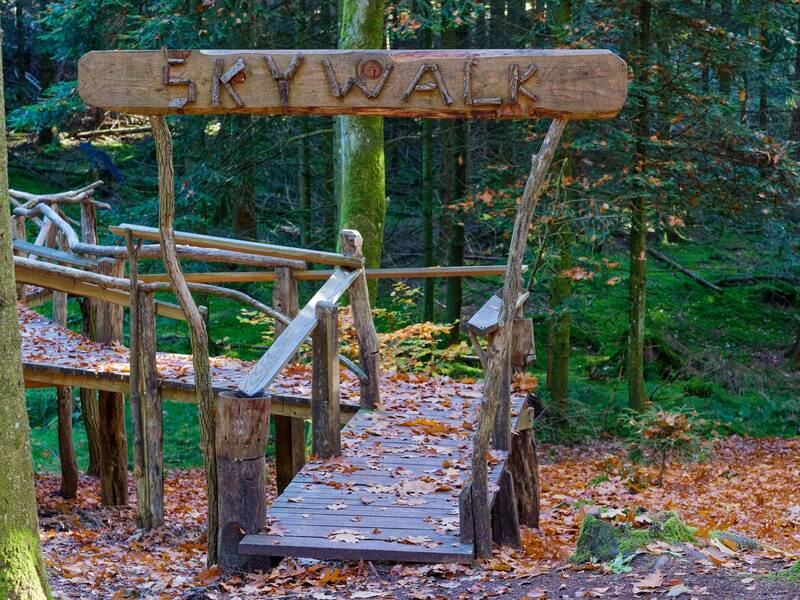 Ein Holzsteg mit einem handgeschnitzten Schild mit der Aufschrift "Skywalk" führt durch einen herbstlich mit Laub bedeckten Wald.