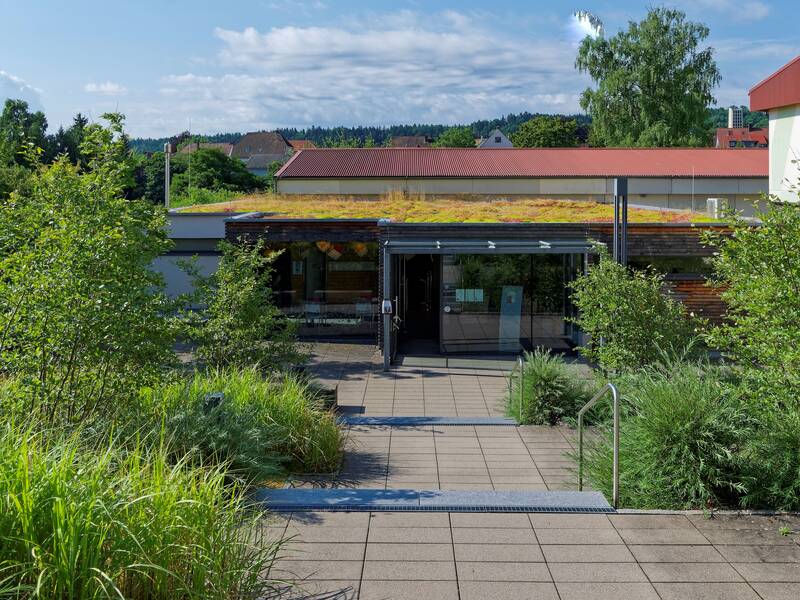 Das Bild zeigt ein modernes Gebäude mit begrüntem Dach, umgeben von üppiger Vegetation und einem gepflasterten Weg, der zum Eingang führt.