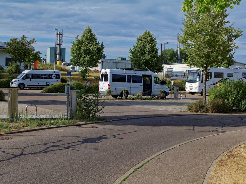 Eine Gruppe von Wohnmobilen und Transportern steht auf einem Parkplatz neben einer begrünten Fläche mit Bäumen und Büschen an einem sonnigen Tag.
