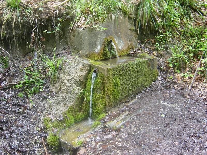Ein kleiner natürlicher Brunnen mit Wasser, das aus zwei moosbewachsenen Röhren in einen zusammenlaufenden Bach fließt, umgeben von grünen Pflanzen.