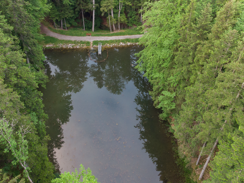 Ein von oben aufgenommenes Bild zeigt einen von hohen, grünen Bäumen gesäumten See mit einem kleinen Steg und einem dahinter verlaufenden Weg.