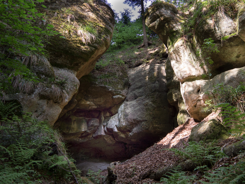 Ein bewaldetes Gebiet mit großen Felsformationen, die von Sonnenlicht beschienen werden.