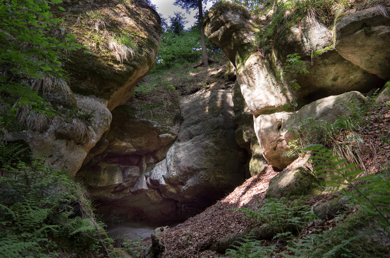 Ein bewaldetes Gebiet mit großen Felsformationen, die von Sonnenlicht beschienen werden.