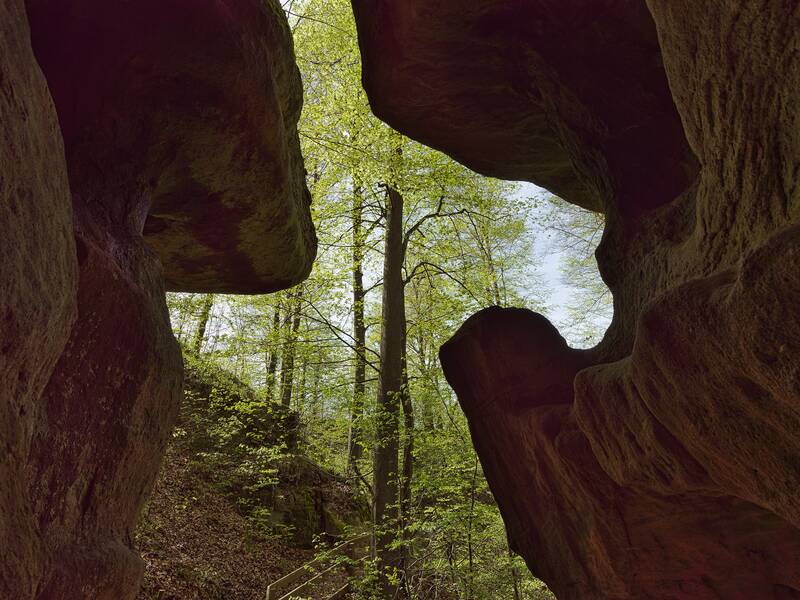 Blick von einer schmalen Felsschlucht auf einen bewaldeten Bereich mit hellgrünen Bäumen und blauem Himmel im Hintergrund.