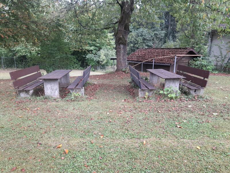 Zwei Sitzgruppen mit Holzbänken und -tischen stehen auf einer Wiese unter einem großen Baum, umgeben von Bäumen und einem kleinen Schuppen im Hintergrund.