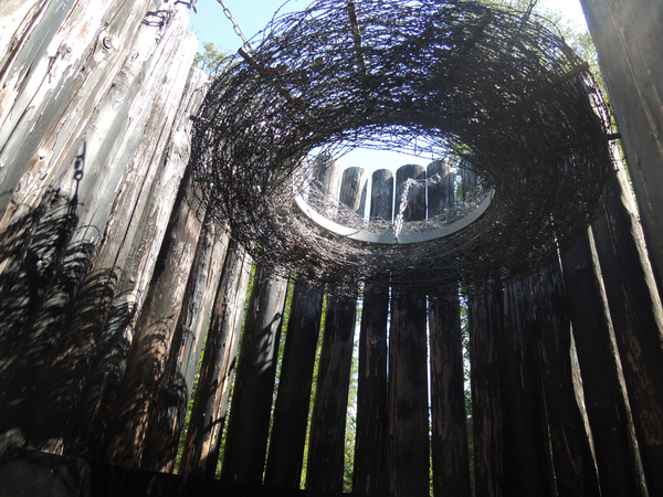 Ein Blick von unten auf eine Umzäunung aus vertikalen Holzbrettern mit einem dichten Metalldrahtgeflecht am oberen Rand und Licht, das von oben hereinfällt.