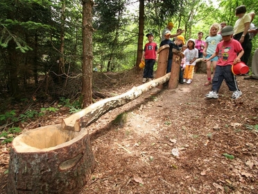 Waldkugelbahn